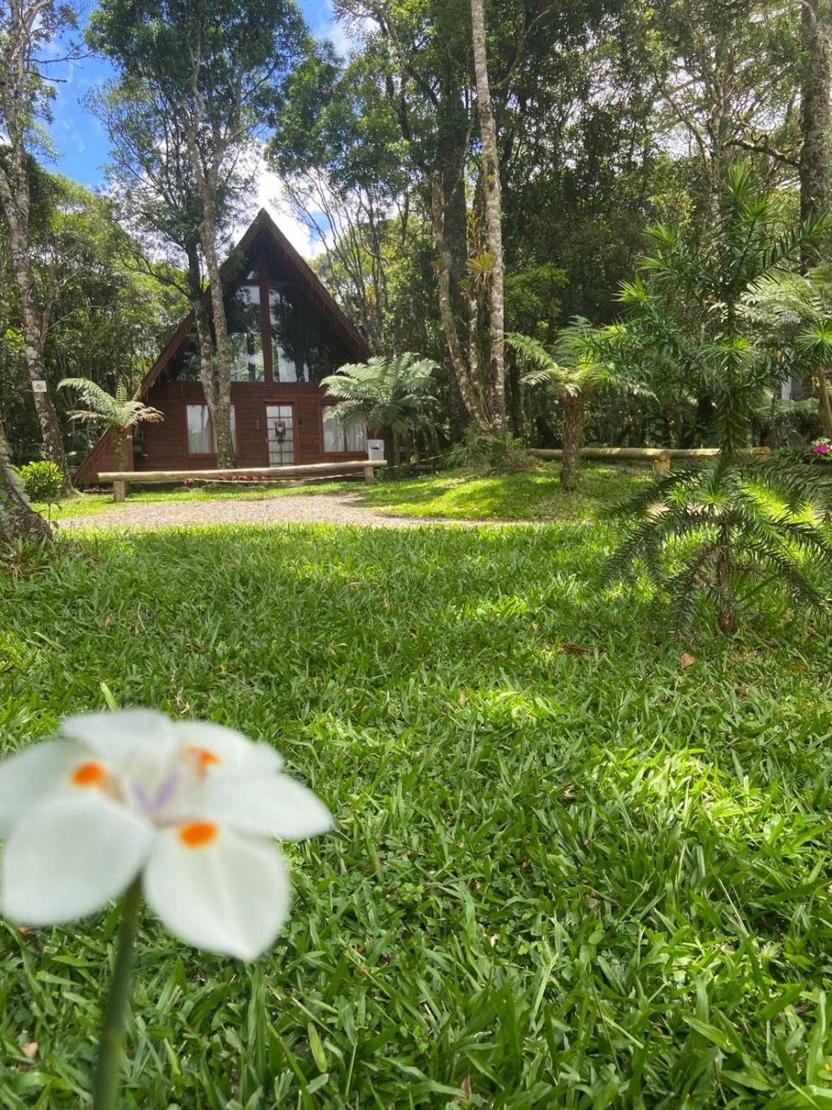 A Cabana Sao Chico São Francisco de Paula Zewnętrze zdjęcie
